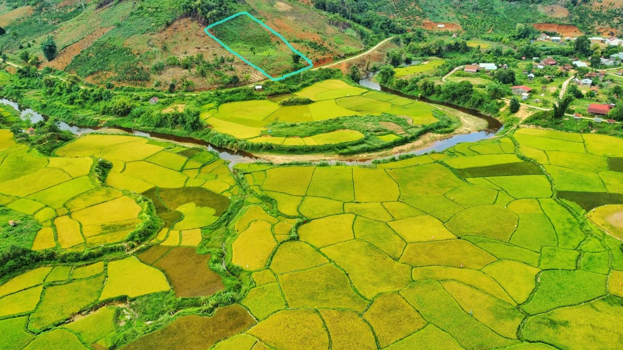 Đất nền Đăk Roong, Gia Lai 4000m² giá thỏa thuận - Khí hậu mát mẻ quanh năm!