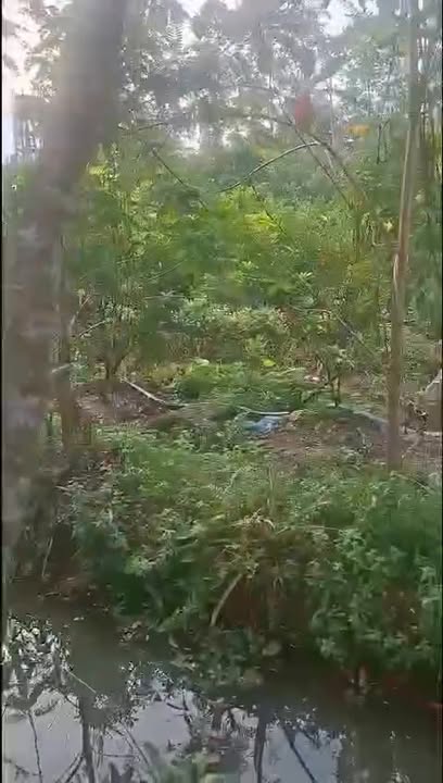 Đất nền xã Định Yên 3082m² giá 5 tỷ - Cơ hội đầu tư tuyệt vời!