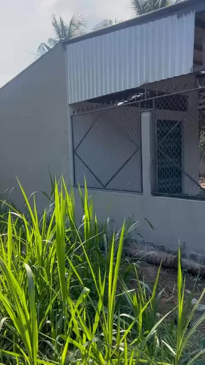 Nhà cho thuê tại Xã Kim Sơn, Huyện Châu Thành, Tiền Giang 255m² - Giá chỉ 2 triệu/tháng