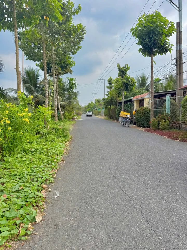 Đất mặt tiền ĐH87, Tân Mỹ Chánh, 175m² giá chỉ 999 triệu - Đầu tư sinh lời ngay!