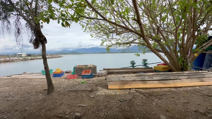 Nhà cấp 4 Ninh Hải 358m² giá 1.5 tỷ - Gần Vịnh Hòn Khói chỉ 100m!