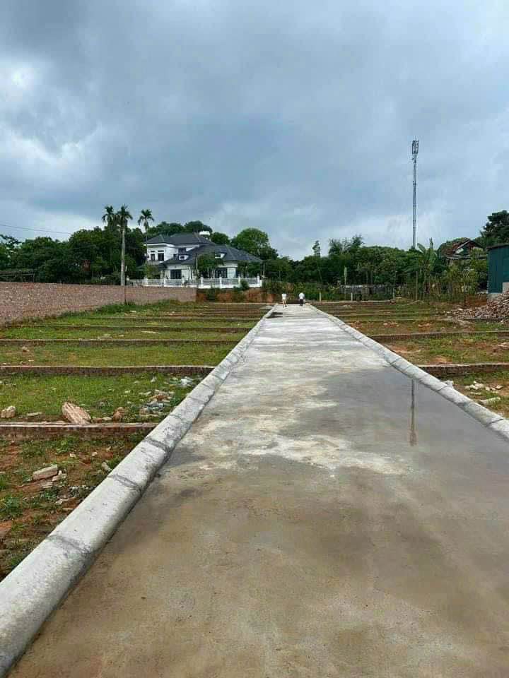 Lô đất thổ cư 66m² tại Tân Minh, Sóc Sơn - Giá cực rẻ, chính chủ bán gấp!