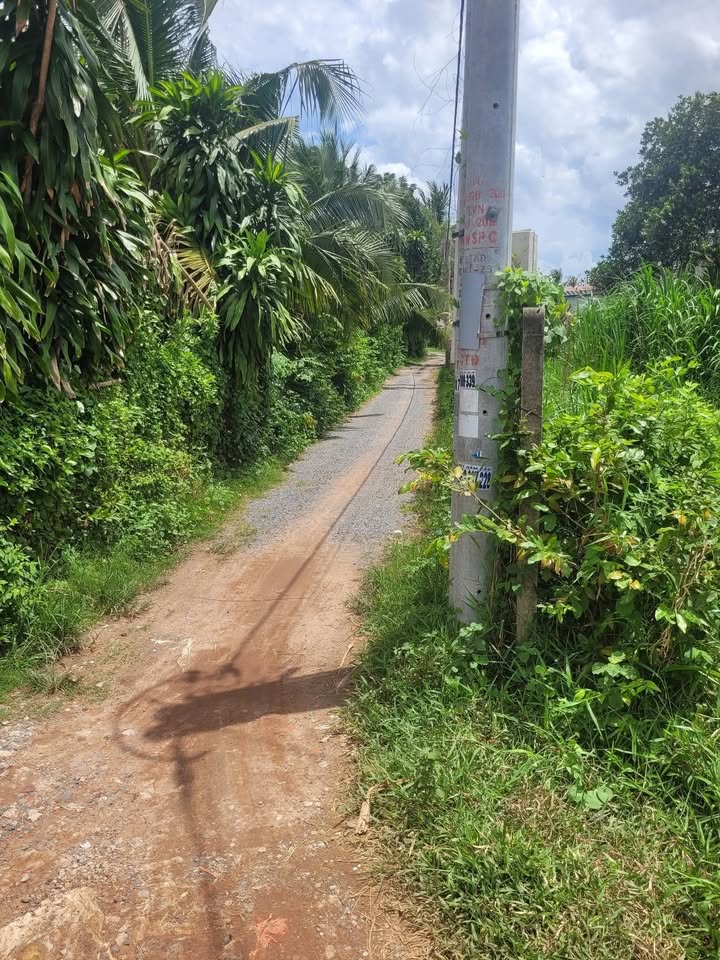 Đất mặt tiền đường nhựa Trảng Cỏ, Hòa Thành, 800m² - Giá thỏa thuận, cần bán gấp!