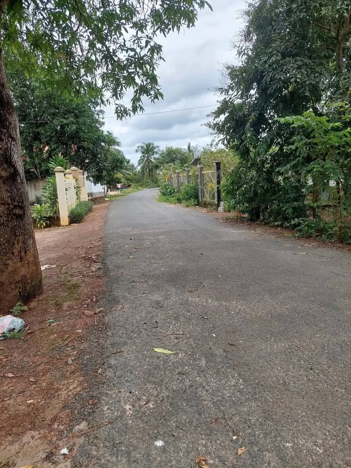 Đất nền tại xã Tân Hội, huyện Tân Châu, 4500m² giá 47.25 tỷ - Đầu tư sinh lời lý tưởng!