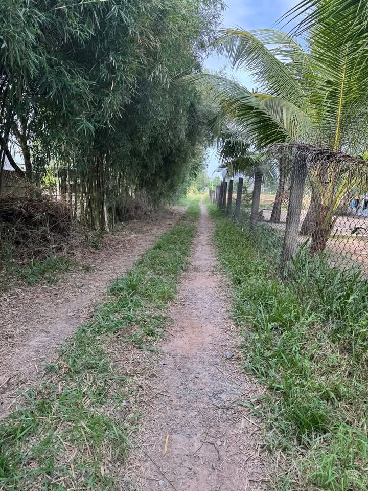 Đất nền ấp Bàu Tràm Lớn, Tây Ninh 145m² giá chỉ 260 triệu - Đầu tư sinh lời hấp dẫn!