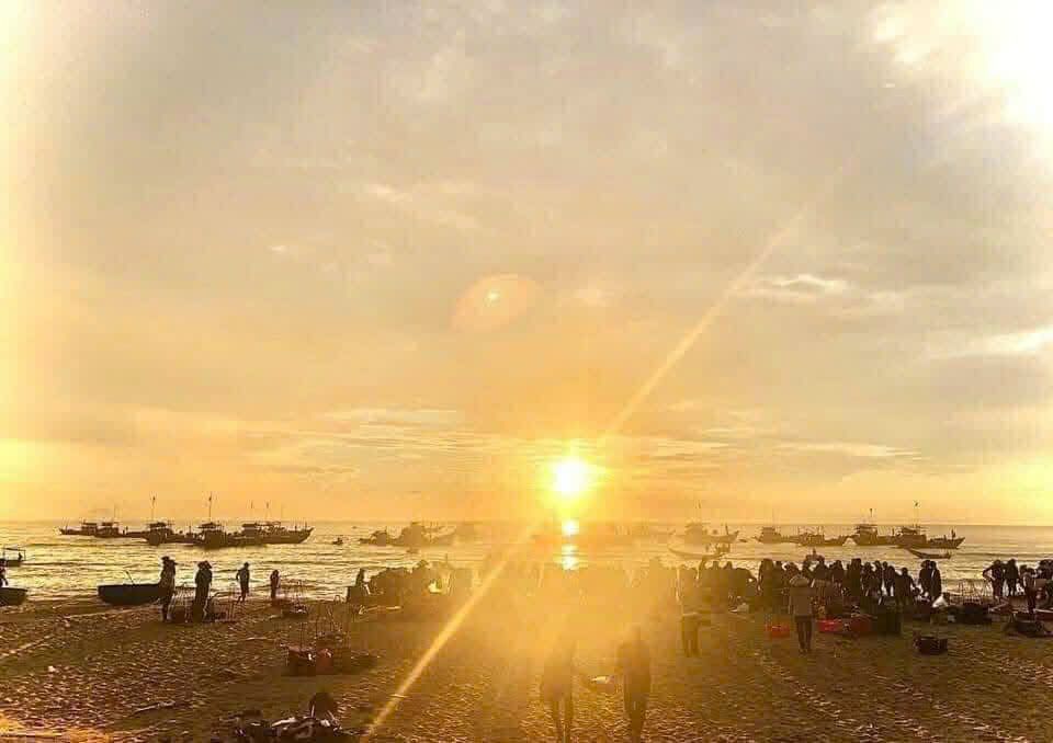 Đất thổ cư 1000m² mặt tiền đường xuống biển Bình Minh - Giá hợp lý ngay hôm nay!