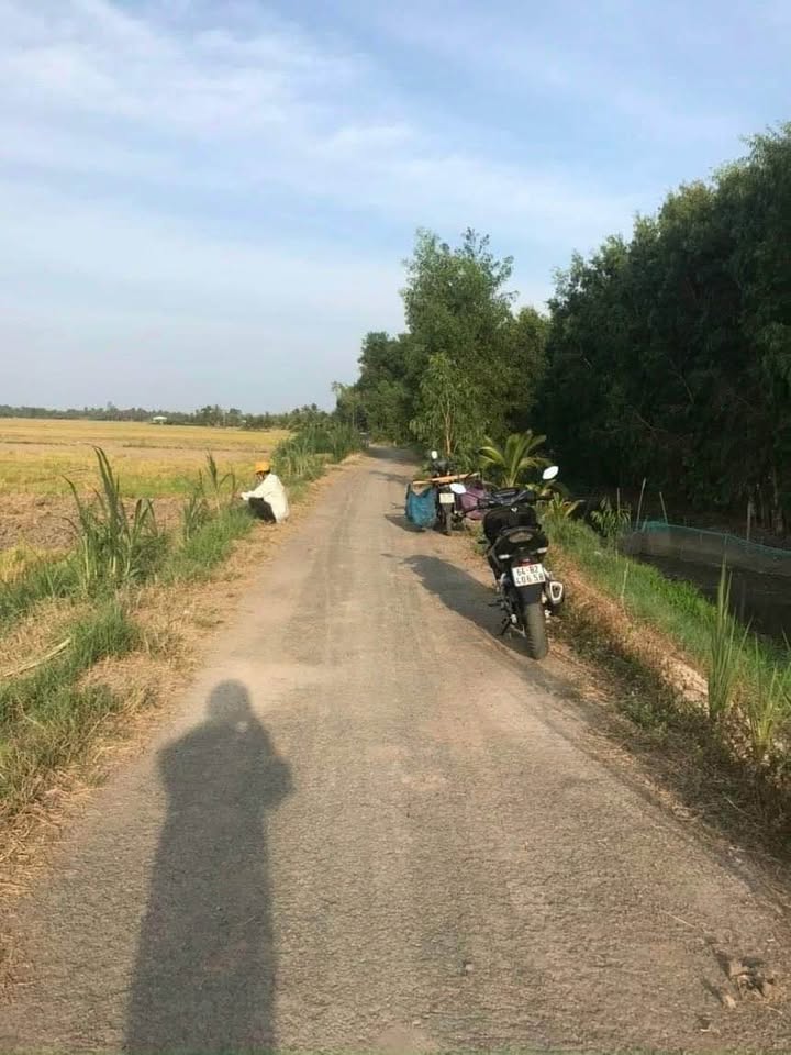 Đất nông nghiệp 1563m² xã Phú Quới, Vĩnh Long - Cơ hội đầu tư tuyệt vời!