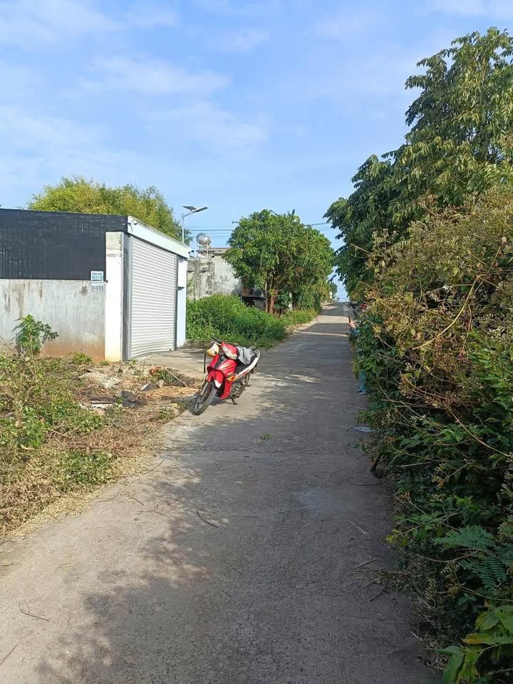 Đất thổ cư Thôn 8, Phường Thành Công, Buôn Ma Thuột 310m² - Hướng Đông, giá cực kỳ hấp dẫn!