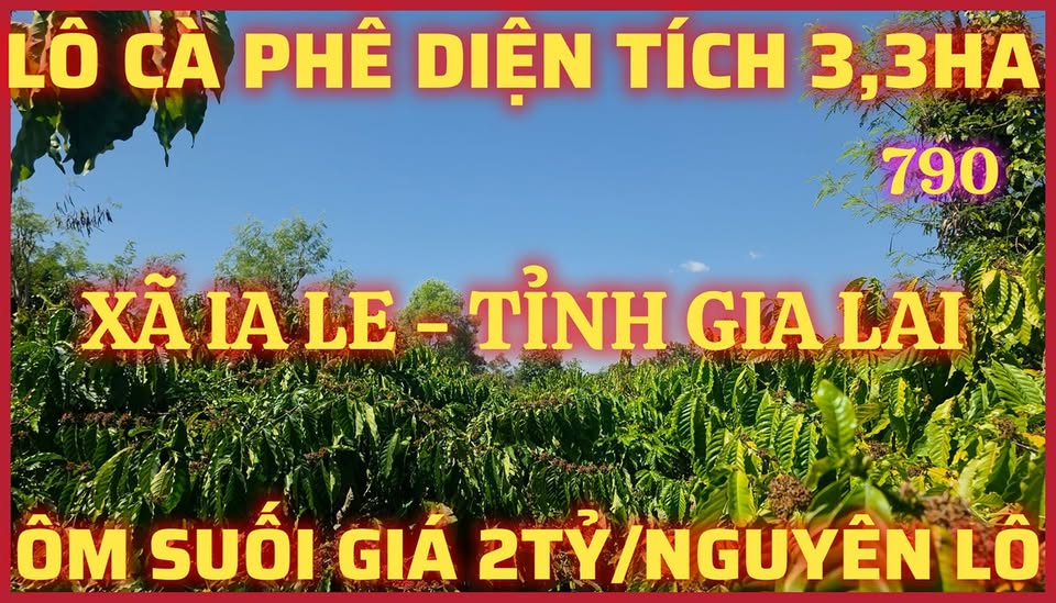 Đất rẫy 3,3ha tại Xã Ia Le, Gia Lai - Đầu tư phát triển cà phê sinh lời
