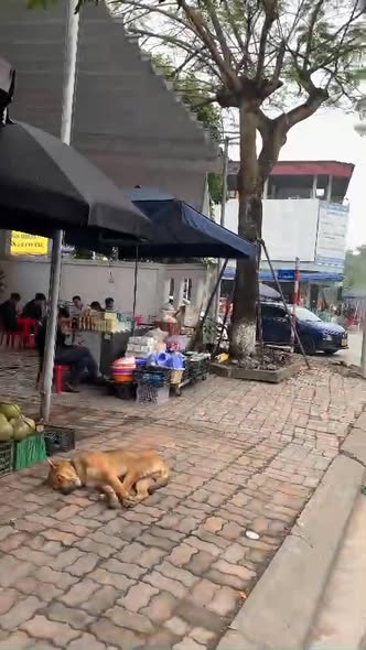 Bán gấp FrontHouse đường Sơn Nam, Hưng Yên 78m² - Kinh doanh sầm uất!