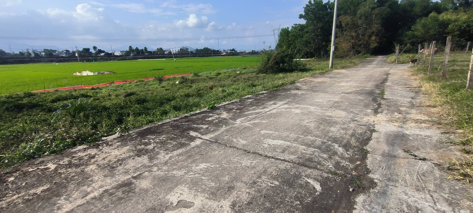 Đất nền Hòa Vang 150m² giá tốt - Đầu tư sinh lời hấp dẫn!