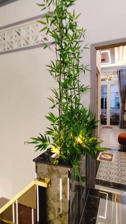 Nhà riêng hẻm Nguyễn Văn Cừ, Cần Thơ 164m² giá 4.58 tỷ - Sẵn sàng vào ở ngay!