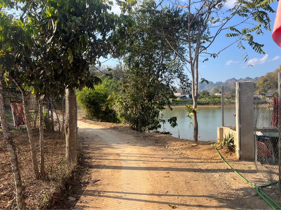 Đất vườn Bản Híp - Chiềng Ngần 1.600m² giá 550 triệu - Không khí trong lành, view thoáng đãng!