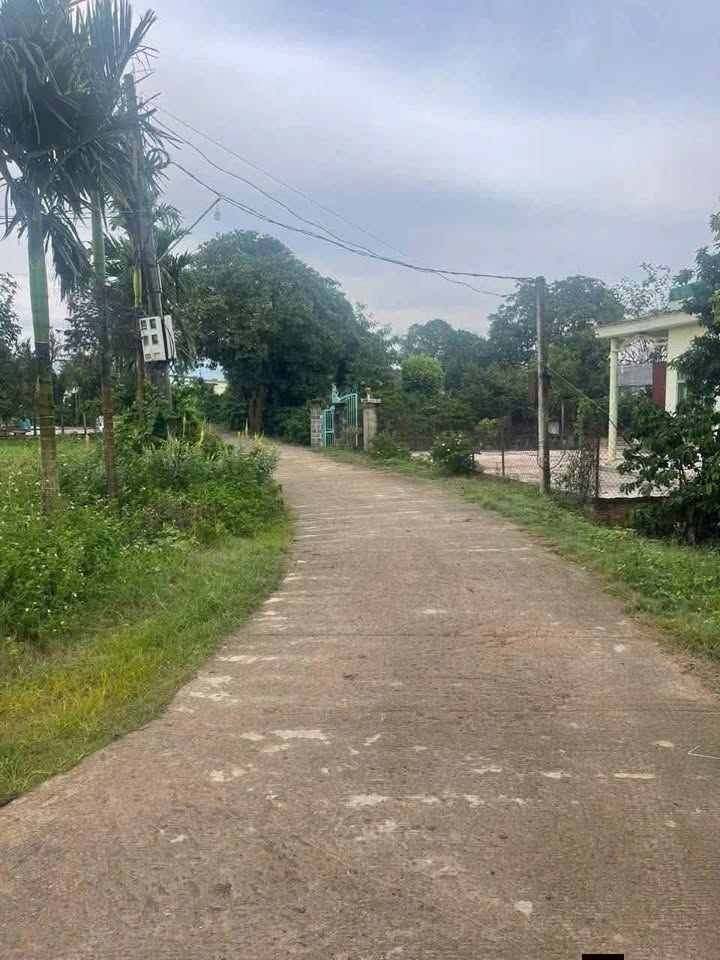 Đất nền xã Dang Kang, huyện Krông Bông, 520m² giá chỉ 500 triệu - Cơ hội đầu tư tuyệt vời!