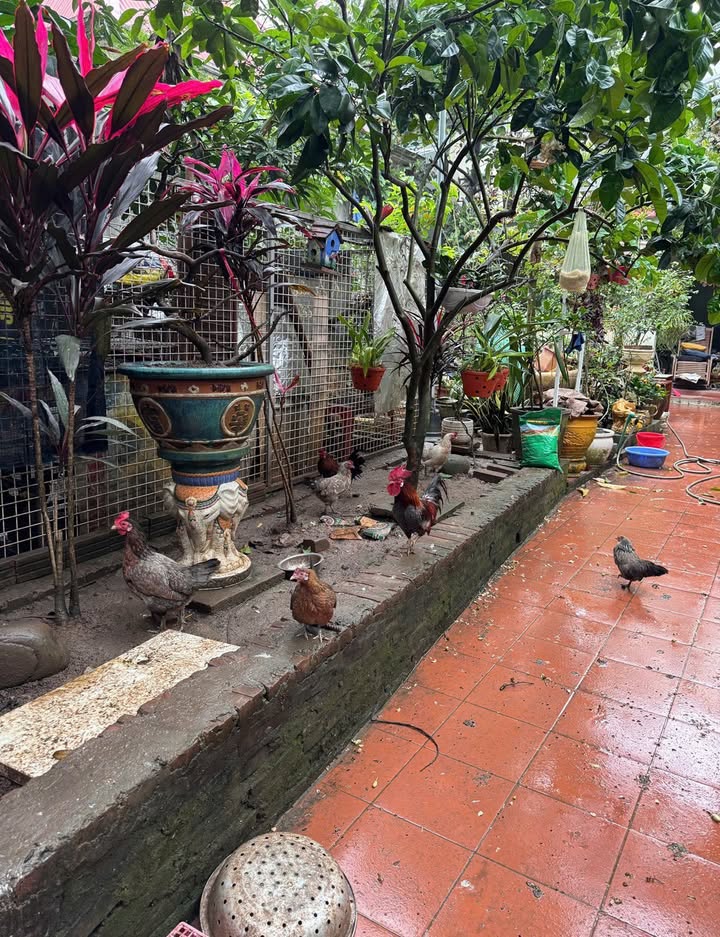 Đất kinh doanh 200m² tại Phường Hải Thành - Cơ hội đầu tư tuyệt vời!