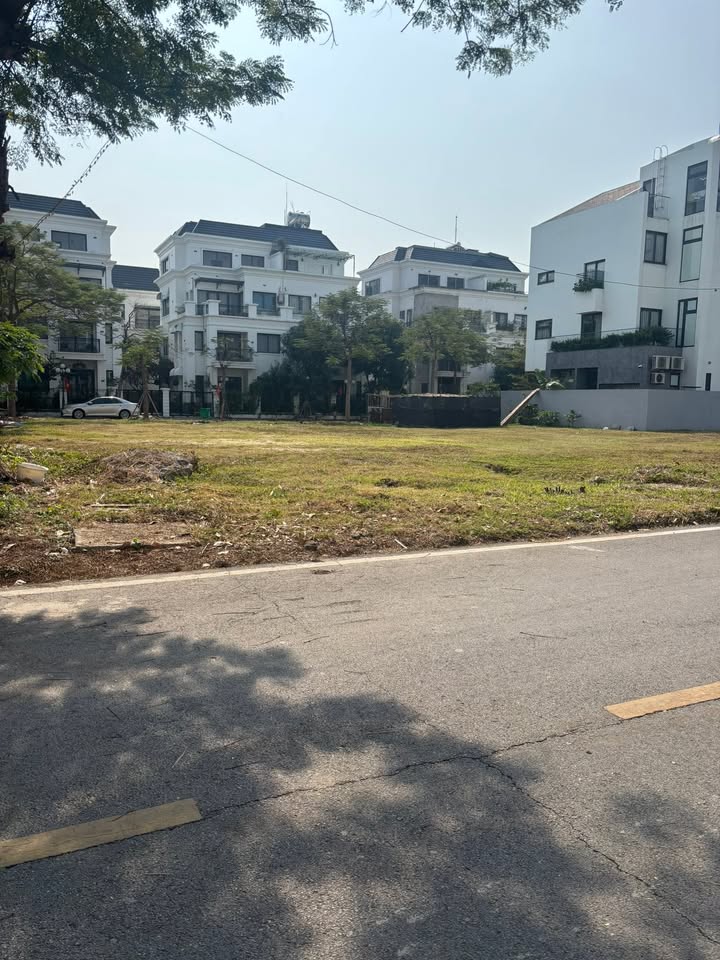 Đất nền Bãi Cháy, Hạ Long 303m² giá thỏa thuận - Tiềm năng sinh lời cao!