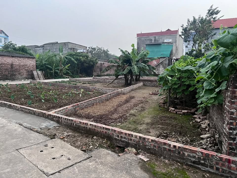 Đất ở đô thị khu phố Đông Cốc, Bắc Ninh 46.2m² - Sổ đỏ lâu dài, giá chỉ 1 tỷ!