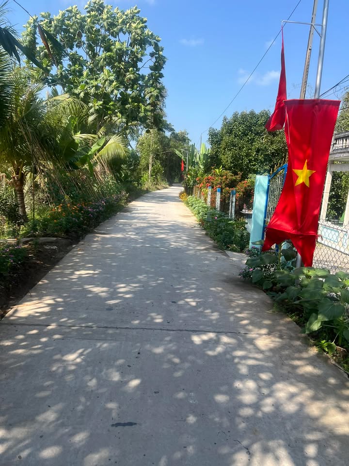 Đất thổ cư xã Phú Hữu 138m² giá 450 triệu - Đầu tư sinh lời ngay!