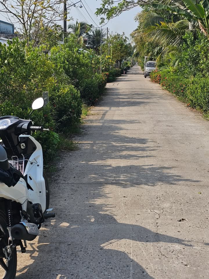 Đất nền 1100m² Đường Bốn Tổng Một Ngàn, Huyện Vĩnh Thạnh - Giá chỉ 1.02 tỷ!