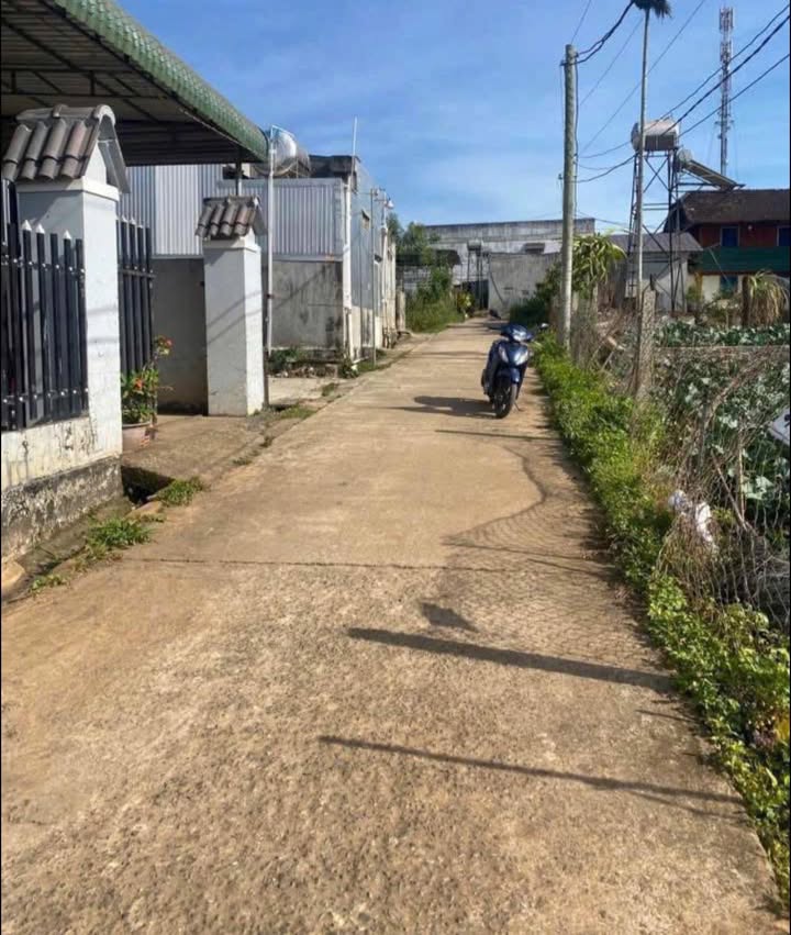 Đất hẻm 134 Phú Hội, 280m² giá 1.8 tỷ - Cơ hội đầu tư hấp dẫn!