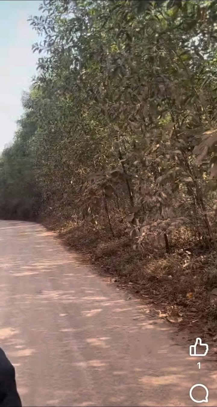 Đất mặt tiền đường Lê Lợi, Thị Trấn Ái Tử, 2350m² - Cơ hội đầu tư hiếm có!