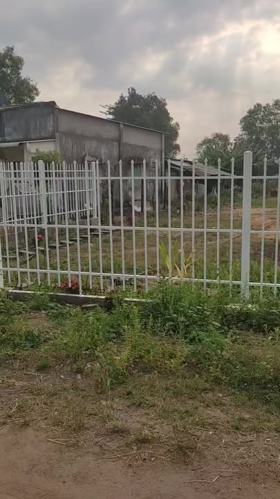 Lô đất đẹp 350m² tại Hồ Tràm, giá 2 tỷ - Tiềm năng đầu tư hấp dẫn!