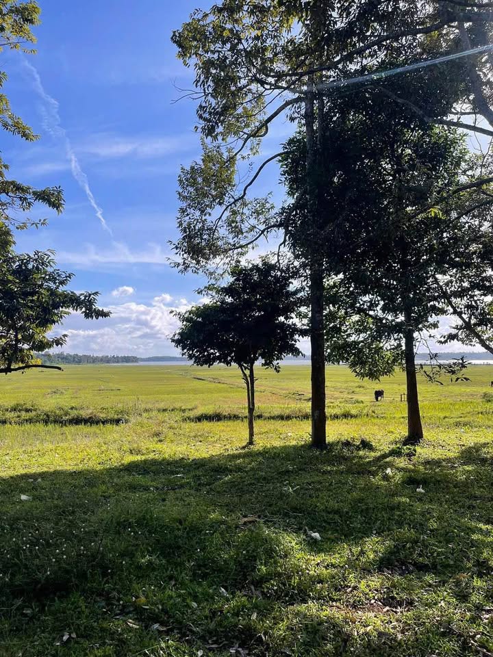 Đất Farmview Hồ Ea Nhái 4.000m² giá 2.65 tỷ - Tiềm năng nghỉ dưỡng cực tốt!