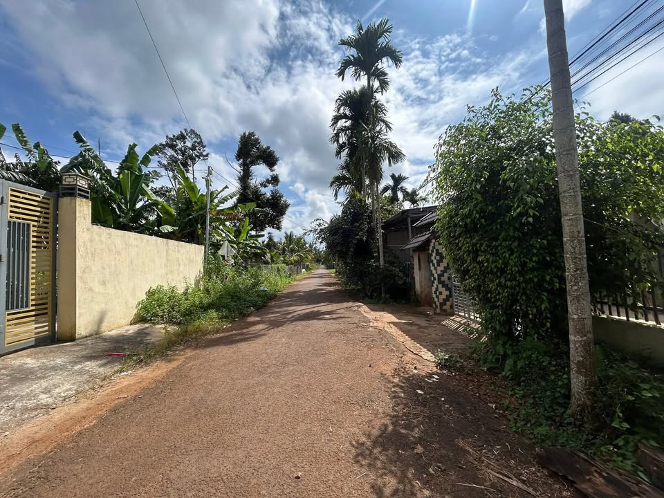 Đất liền kề Hòa Thắng 240m² giá 2.6 tỷ - Nhà container ở ngay!