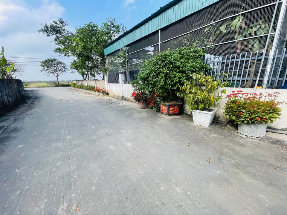 Đất nền Tượng Sơn Hà Tĩnh 144m² giá 1.5 tỷ - Đường rộng 6m, hướng Đông Bắc!