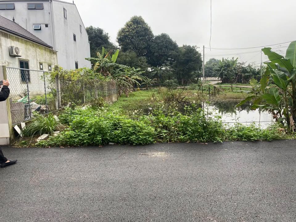 Đất nền Phường Thạch Hạ, Thành phố Hà Tĩnh 91m² giá chỉ 1.3 tỷ - Đầu tư sinh lời ngay!