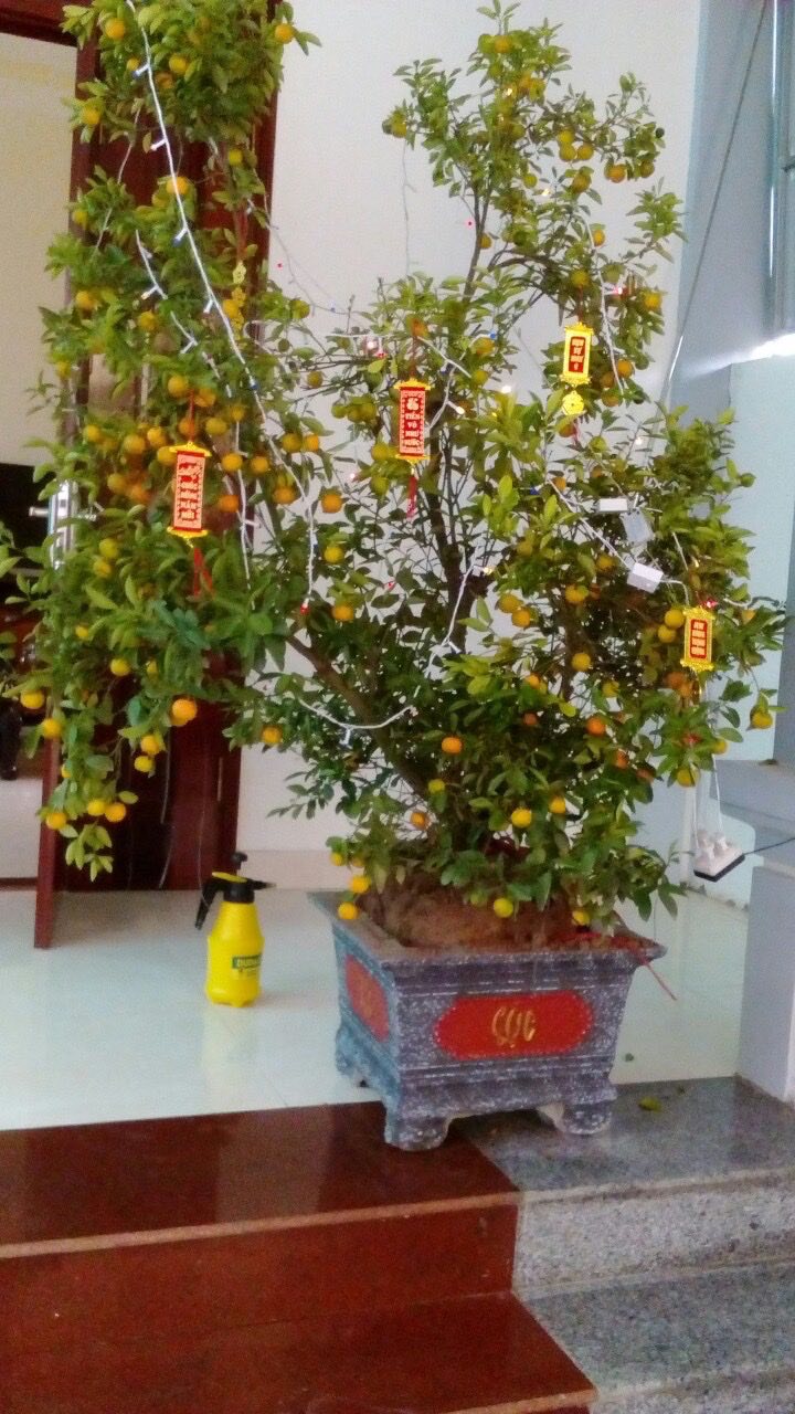 Nhà 2 Lầu 1 Trệt tại Dĩ An 125m² giá 10.5 tỷ - Gần Quảng Trường và Công Viên Nước!