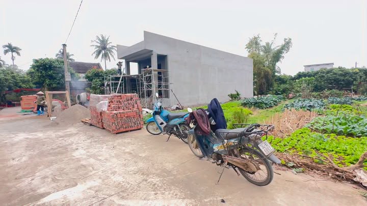 Đất thổ cư 150m² tại Xã Tân An, Huyện Thanh Hà - Đầu tư tiềm năng giá chỉ 6xx triệu!