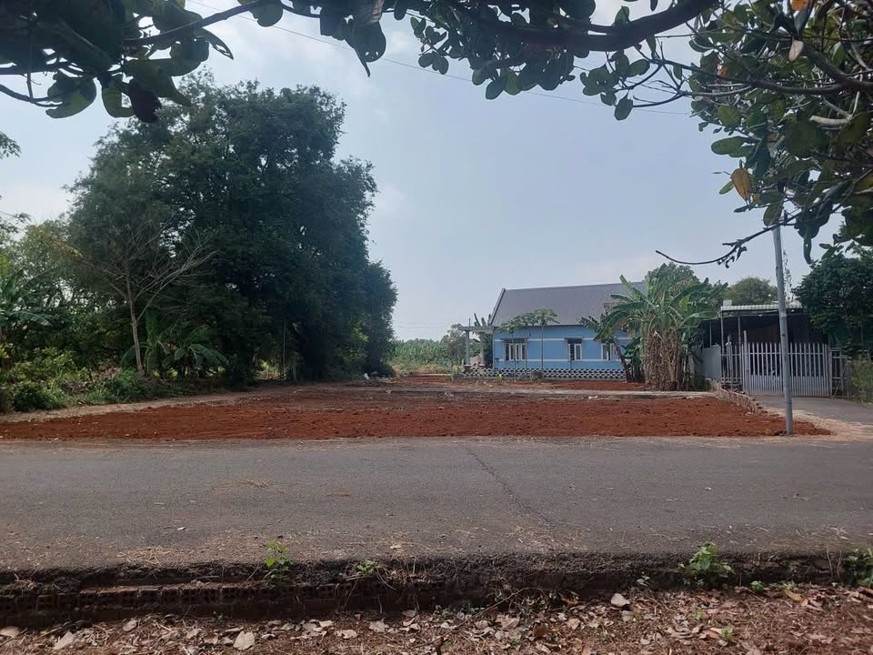 Đất thổ cư 4049m² tại Thị trấn Đất Đỏ, Bà Rịa - Vũng Tàu giá 2 tỷ - Sổ đỏ chính chủ, thuận tiện đầu tư!