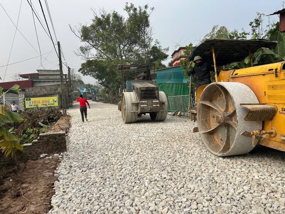 Đất nền liền kề Tuy Lai, Minh Khai, Hưng Hà 125m² - Đầu tư sinh lời ngay!