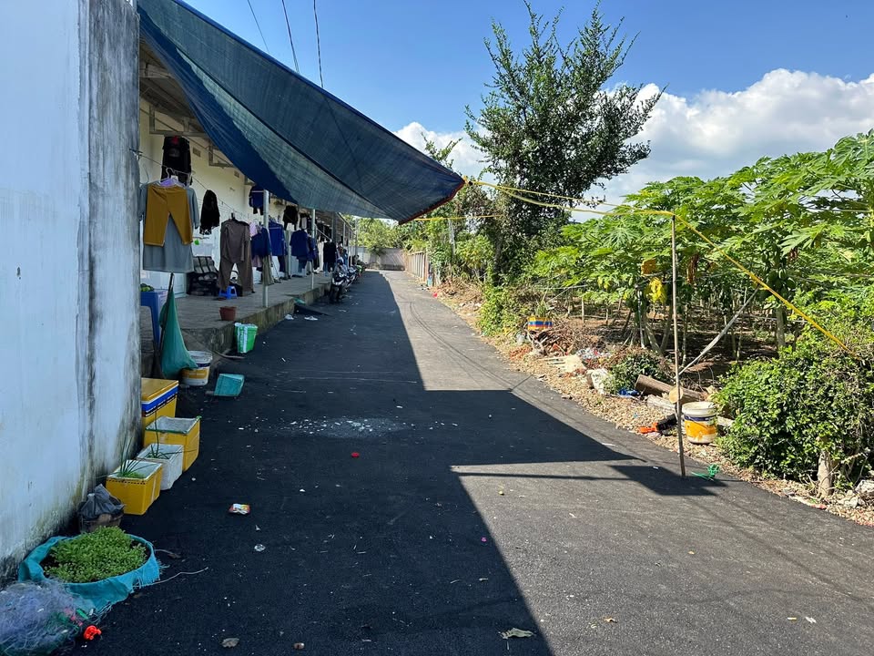 Đất nền chính chủ tại Xã Long Phước, TP. Bà Rịa 4500m² giá 10 tỷ - Cơ hội đầu tư hấp dẫn!