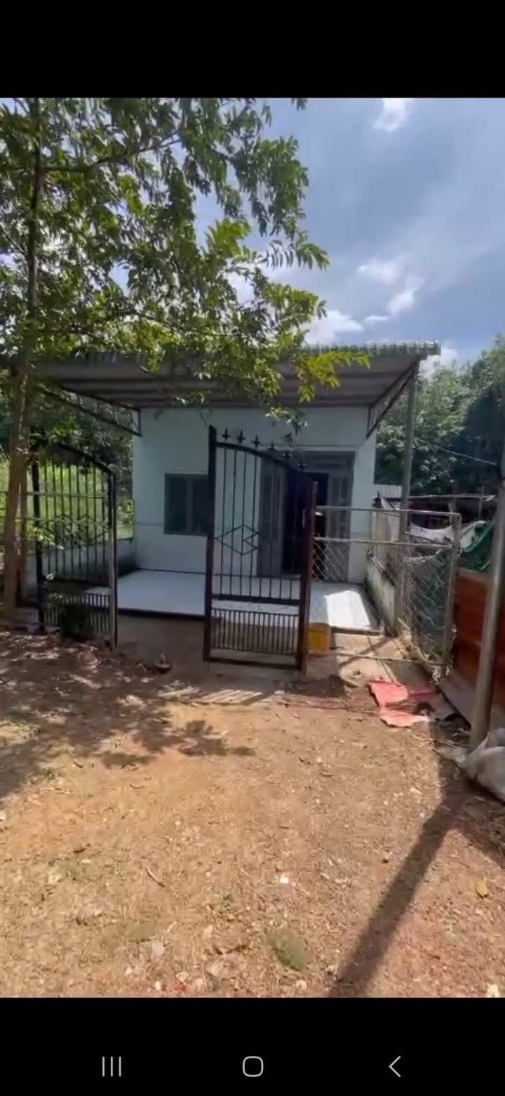 Đất 204m² tại Phường Tân Đồng, Đồng Xoài giá chỉ 600 triệu - Nhà cấp 4 sẵn ở!