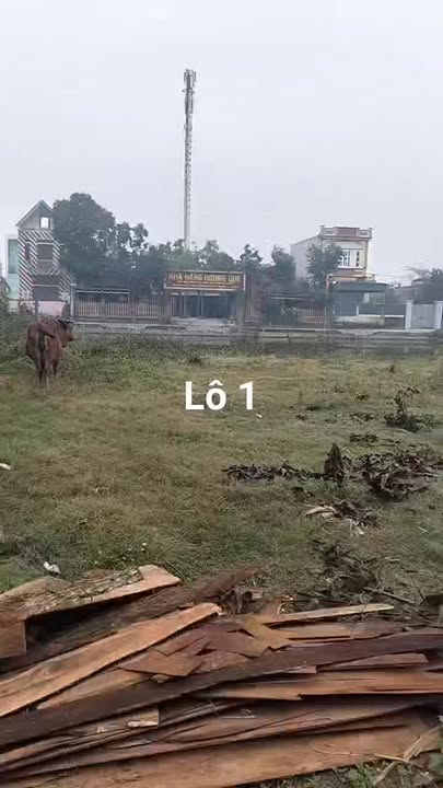 Đất mặt đường trục thôn Tân Phú Yên Lương 140m² giá 1.4 tỷ - Đầu tư sinh lời ngay!