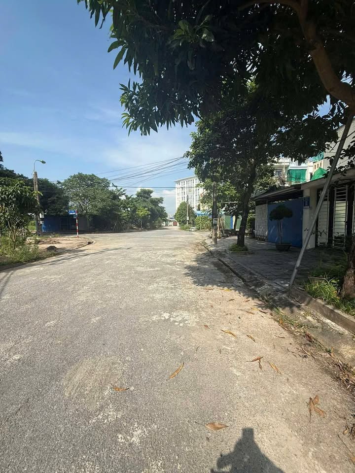 Đất mặt đường Trần Khắc Chung, Lộc Vượng, Nam Định 116m² giá 5.22 tỷ - Đầu tư sinh lời ngay!