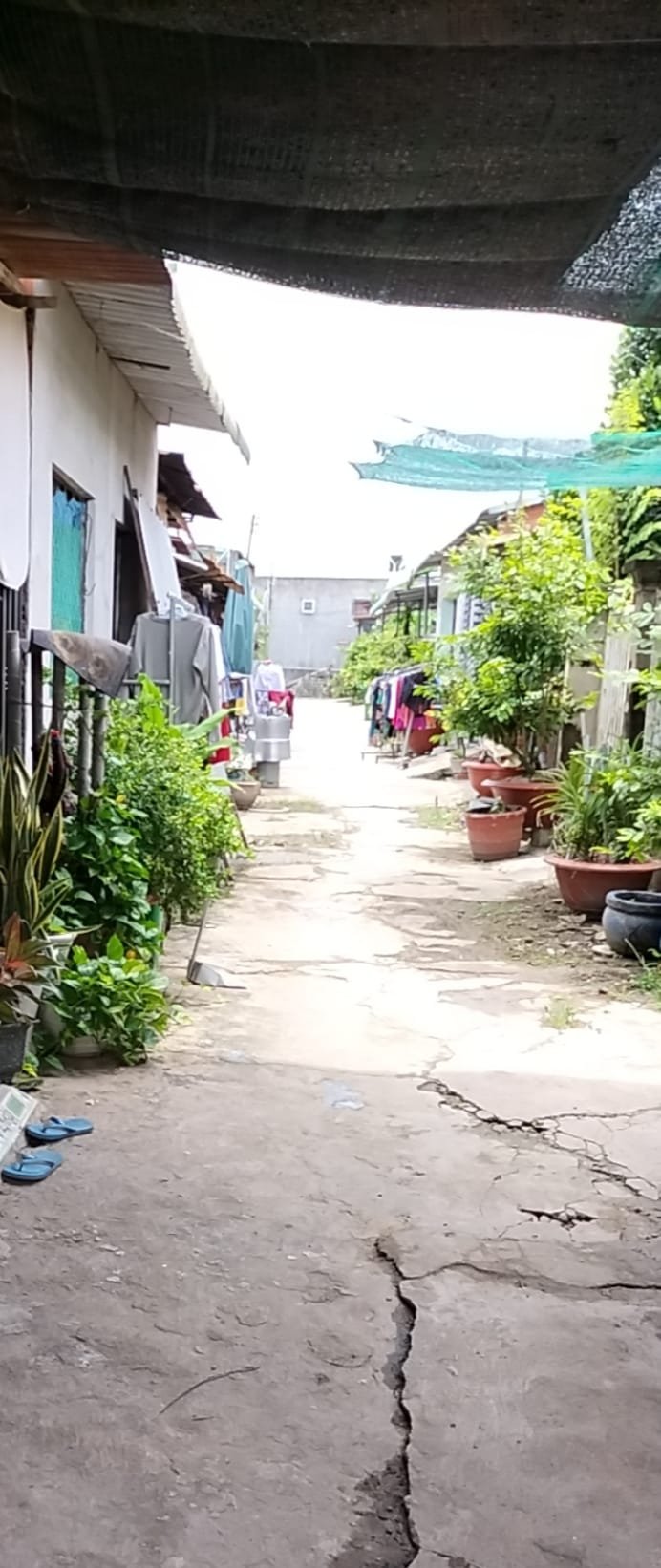 Nhà nguyên căn 115m² tại Bàu Đồn, Gò Dầu - Giá chỉ 1.15 tỷ, sẵn sàng vào ở!