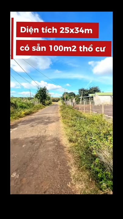 Nhà vườn 900m² hẻm Nguyễn Kiệm, Xã Ia Hrung, Giá 3 tỷ - Cơ hội vàng cho gia đình!