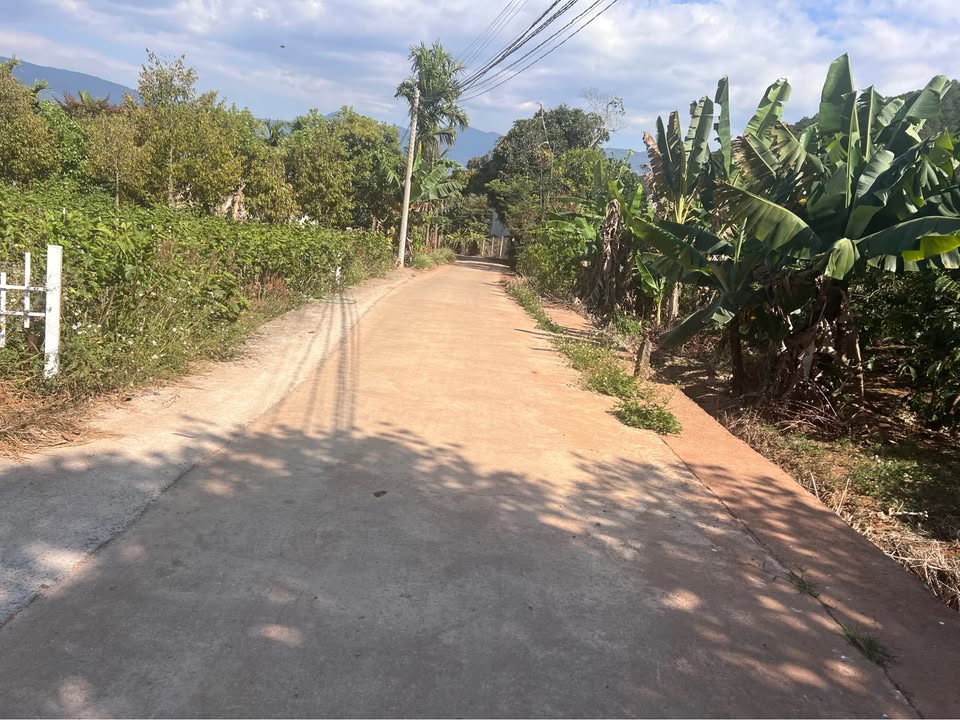 Đất thổ cư 200m² tại Nam Ban, Lâm Hà chỉ 1.28 tỷ - Cơ hội đầu tư tốt!