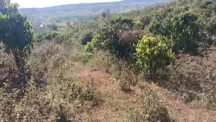 Đất rẫy 1ha tại xã Ia Ko, Gia Lai giá chỉ 900 triệu - Cơ hội đầu tư tuyệt vời!