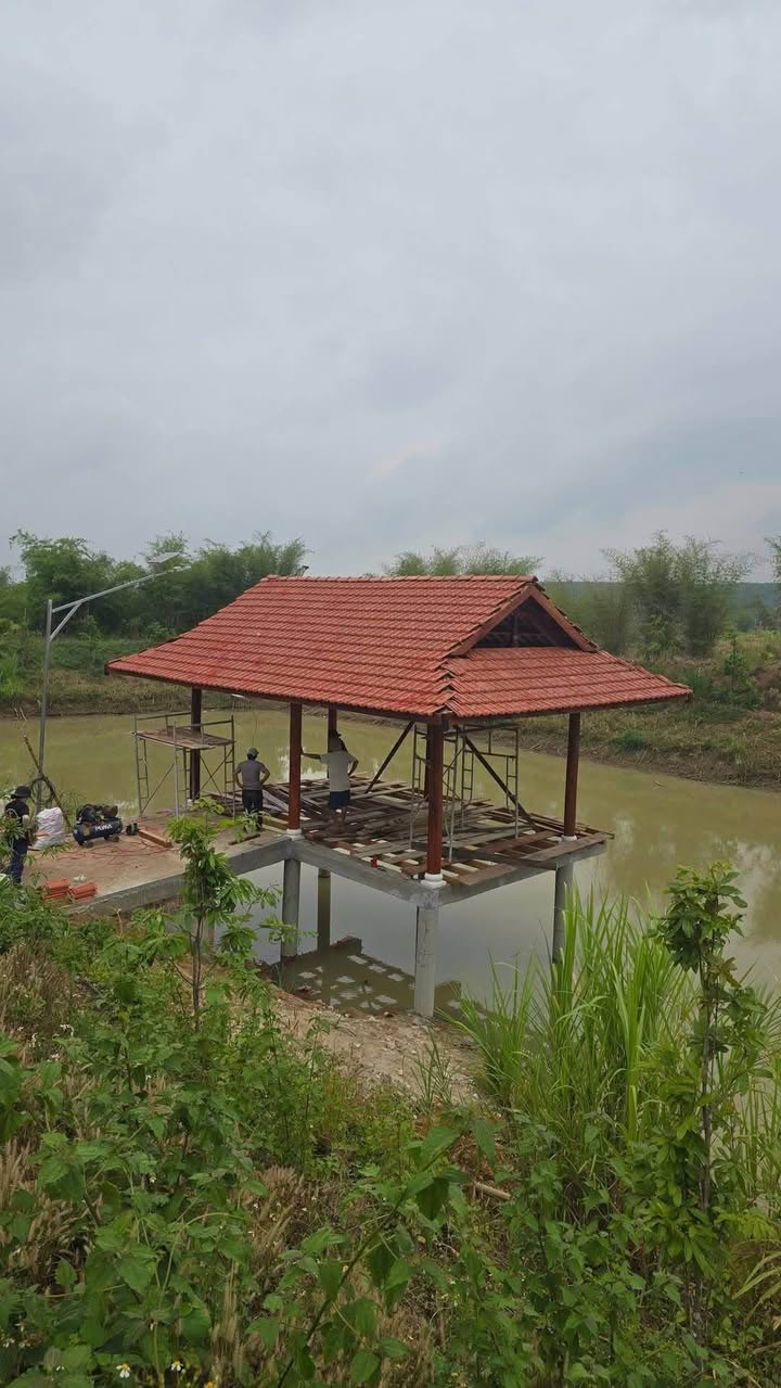 Đất nền 3500m² tại Phường Hòa Hiệp Bắc, giá 2 tỷ - Sổ hồng chính chủ!