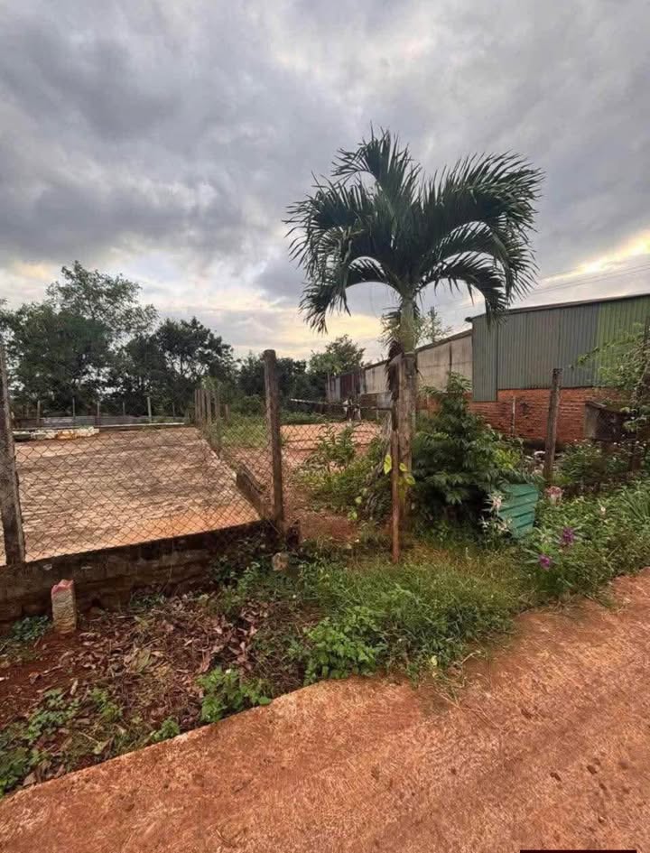 Lô đất hẻm Mai Hắc Đế, Buôn Hồ 135m² giá 880 triệu - Đầu tư sinh lời hấp dẫn!