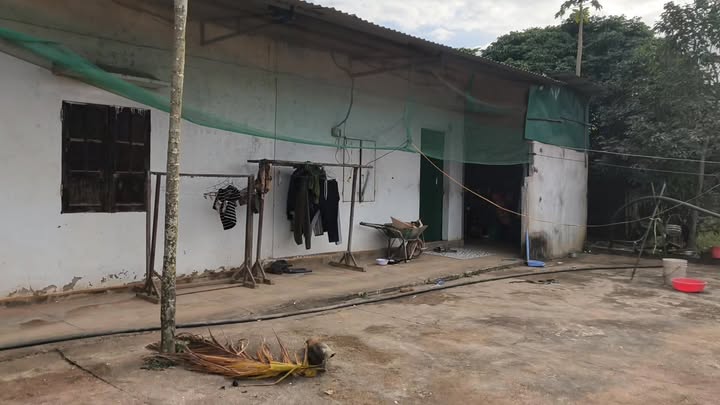 Đất nền xã Cư Elang, 540m² - Cơ hội đầu tư tuyệt vời!