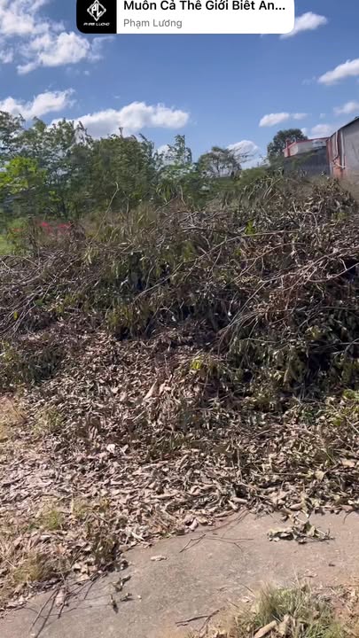 Đất nền 475m² Hoa Viên Eakar - Giá 11.875 tỷ - Khu dân cư đông đúc!