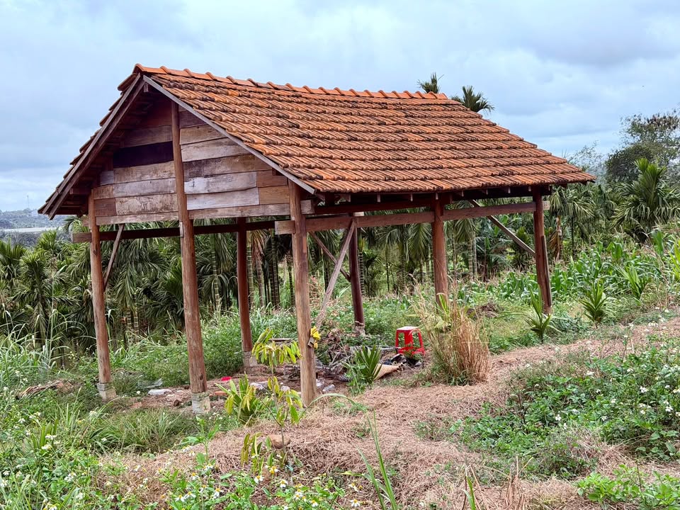 Đất Farm Thôn 5, Xã Ea Đar, 3150m² giá 1.1 tỷ - Chỉ cần bớt lộc nhẹ!