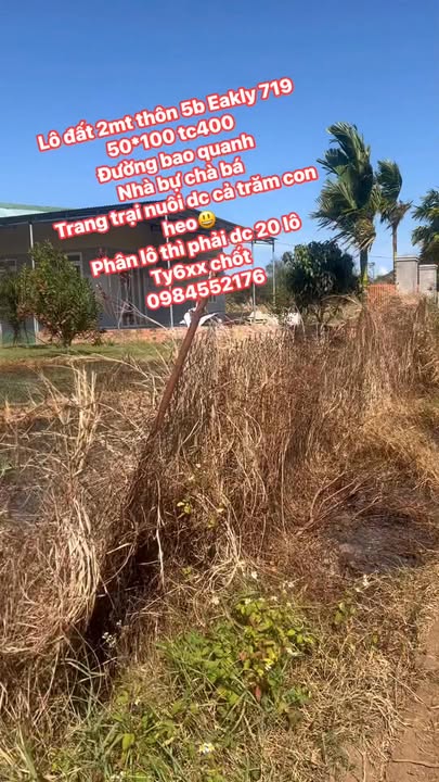 Đất nền thôn 5b, xã Ea Kly, 5000m² giá 6.6 tỷ - Đầu tư sinh lời hấp dẫn!