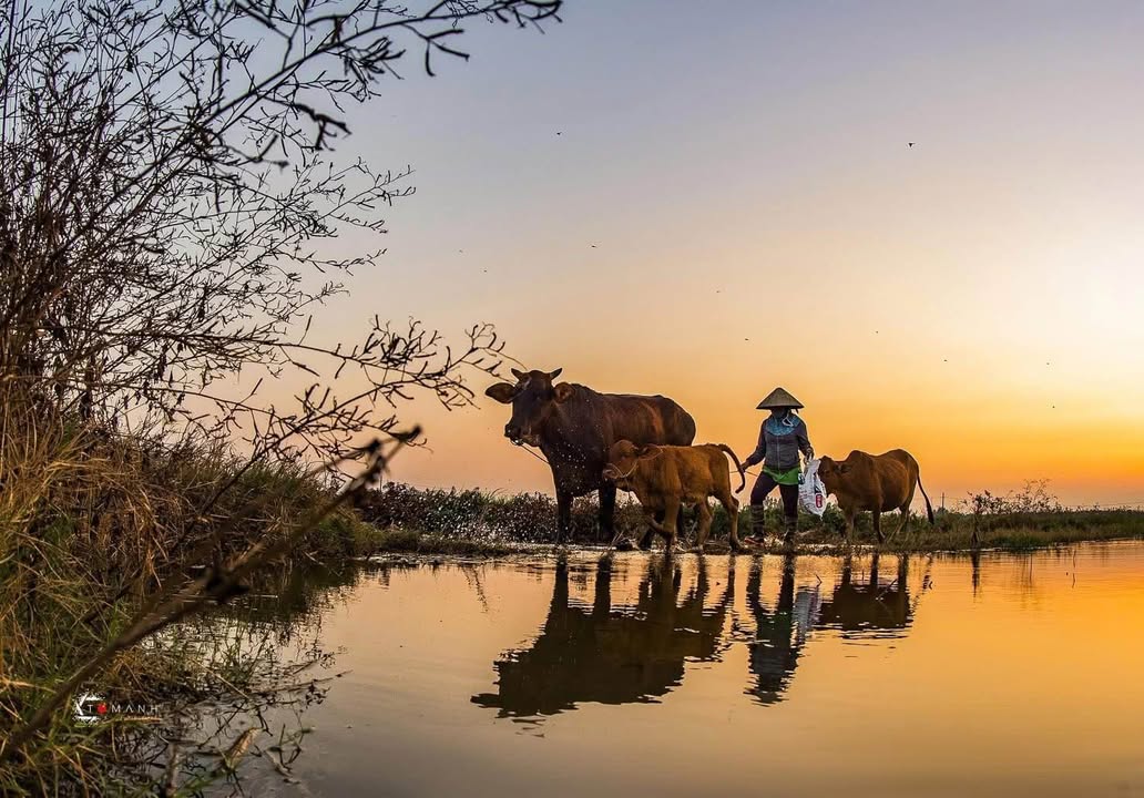 Đất nền tại xã Đăk Năng, TP. Kon Tum 1040m² giá 500 triệu - Sổ đỏ chính chủ!