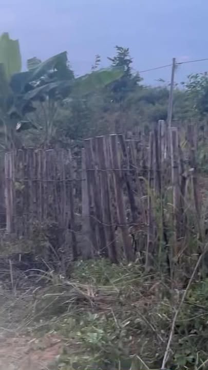 Đất thổ cư 250m² tại xã Đắk Rơ Wa, 773m² giá 1.09 tỷ - Cơ hội đầu tư hấp dẫn!